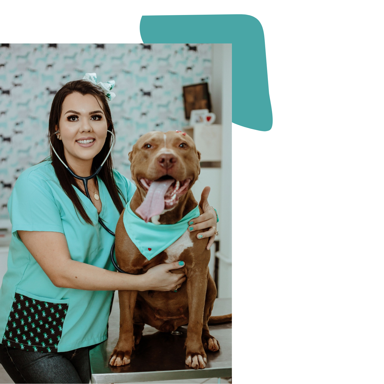 Imagem da veterinaria Bruna com seu paciente